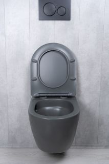 Унитаз подвесной Tornado Gid Tr2122TF-Dgm 62260Y серый матовый 49x36x36